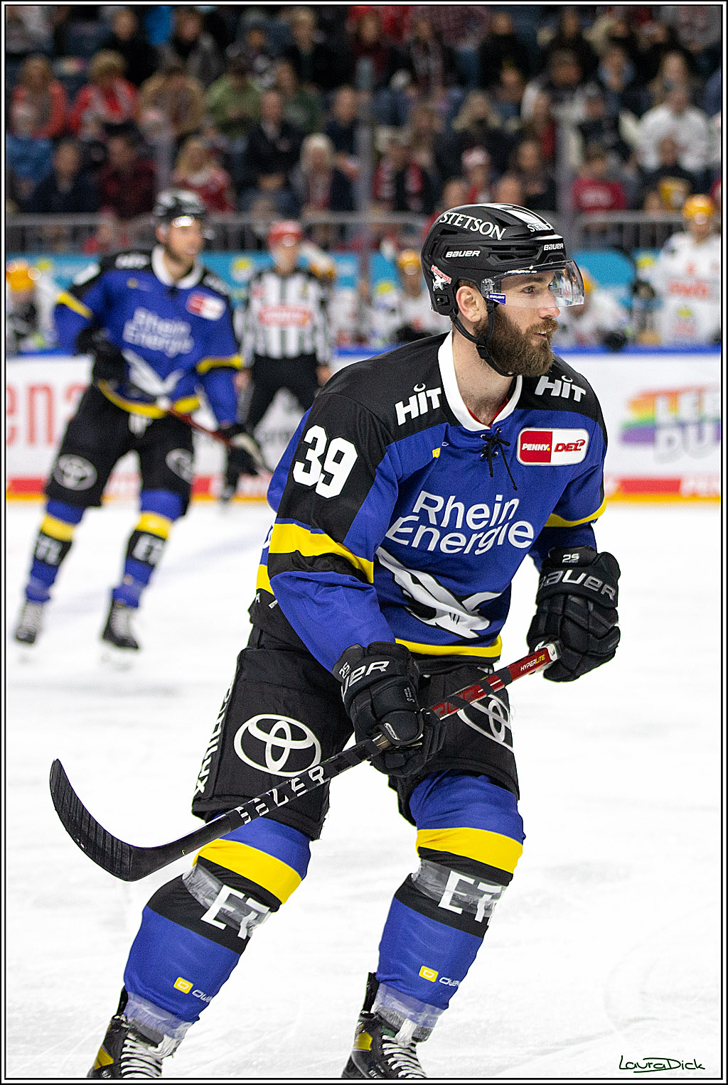 PENNY DEL; Koelner Haie- Fishtown Pinguins Bremerhaven; Koeln, 23.11.2021